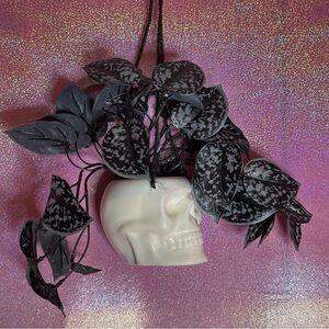 Ashland Hanging Premade Black & White Skull Planter with Scindapsus Faux Plant